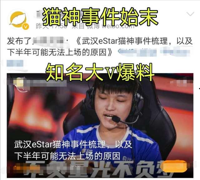 猫神最新爆料,揭秘电竞圈幕后风云